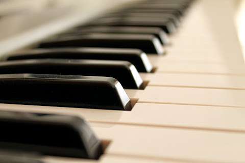 Vivo Piano Lessons